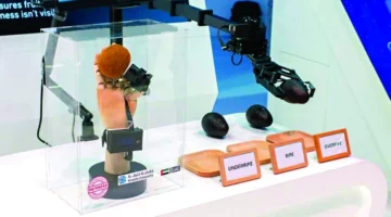 جهاز تاتش رايب الإماراتي المحمول يعتمد الذكاء الاصطناعي لقياس نضج الفاكهة بدقة عالية